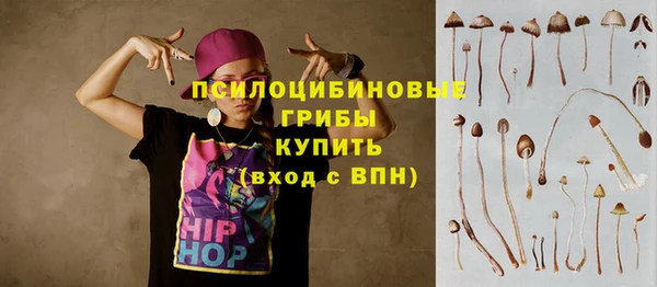 а пвп мука Белокуриха